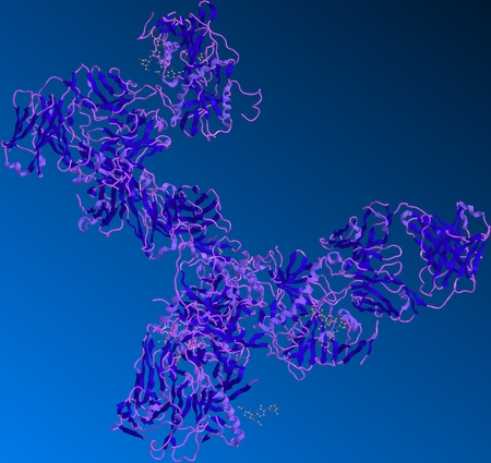 Ebola glycoprotein is found on the surface of the virus. It binds to receptors on a cell surface and then powers fusion of the virus with the cell membrane.の写真素材