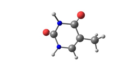 Thymine - T, Thy - is one of the four nucleobases in the nucleic acid of DNA. 3d illustrationの写真素材