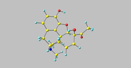 6-Monoacetylmorphine is one of three active metabolites of heroin, the next one is morphine and the less active 3-monoacetylmorphine. 3d illustrationの写真素材