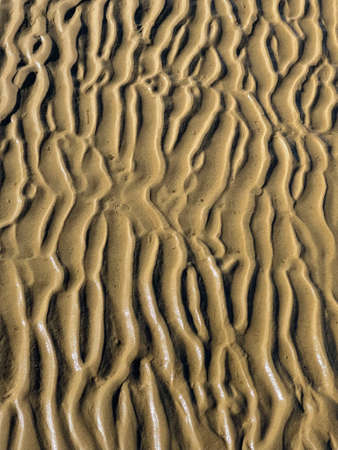 Wet sand background, sand texture, yellow sand