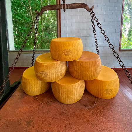 Yellow heads of parmesan cheese on the scales, Italyの写真素材