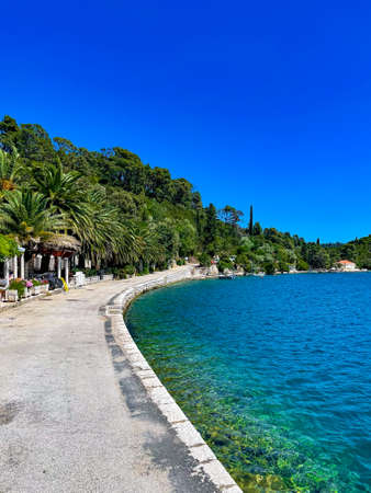 Beaufifull Island Mljet, National park in Croatia, space for txtの写真素材