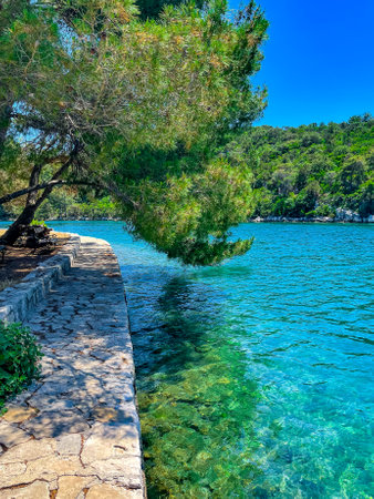 Beaufifull Island Mljet, National park in Croatia, vertical photoの写真素材