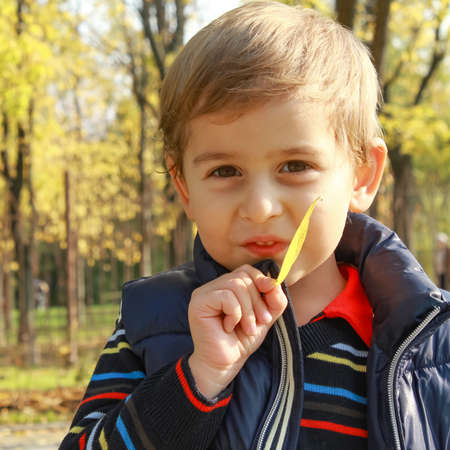 Cute little boy standing near the tree in autumn forest.の写真素材