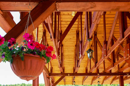 Potted flowers on the background of the wooden roof of the house.