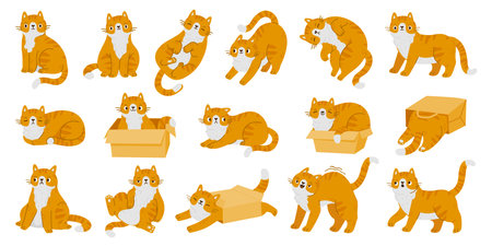 Cartoon kitten cats cute characters. Red cats in different poses, various emotions and behavior isolated on white background. Vector set. Happy and sad domestic ginger pets, hiding, playingのイラスト素材