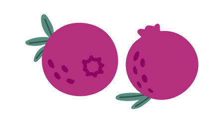 Featuring two simple cartoon style pomegranates, one revealing its star shaped seed section, resting on a plain white background adorned with small green leavesのイラスト素材