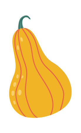 Ripe butternut squash featuring a vibrant orange skin adorned with vertical stripes and a fresh green stem, isolated against a clean white background in a detailed illustrationのイラスト素材
