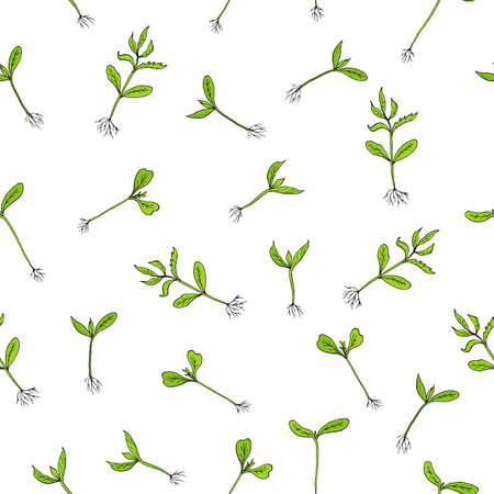 Seamless pattern with hand draw Sprouts plants. Vector illustrationのイラスト素材