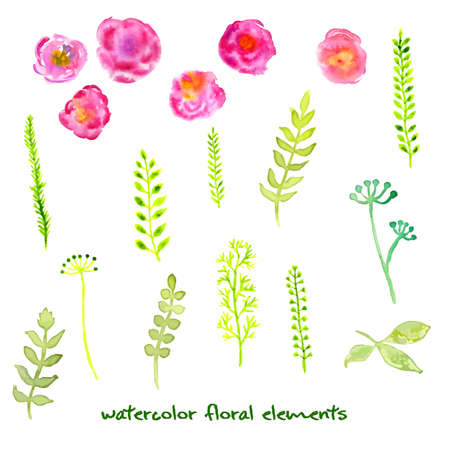Vector floral set of leaves and flowers, drawing watercolor. For invitation, wedding or greeting cardsのイラスト素材