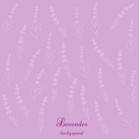 Lavender flowers bsckground. Vector illustrationのイラスト素材