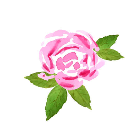 Vector watercolor hand drawn illustration for greeting cards and invitationsのイラスト素材