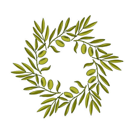 Vector decorative wreath olive branchのイラスト素材