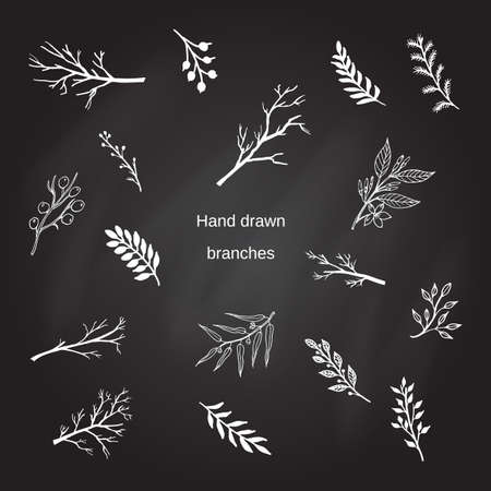 Hand drawn silhouettes of tree branches. Vector illustrationのイラスト素材