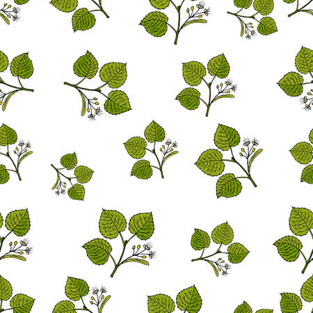 Seamless vector pattern with hand drawn linden tree branches.のイラスト素材
