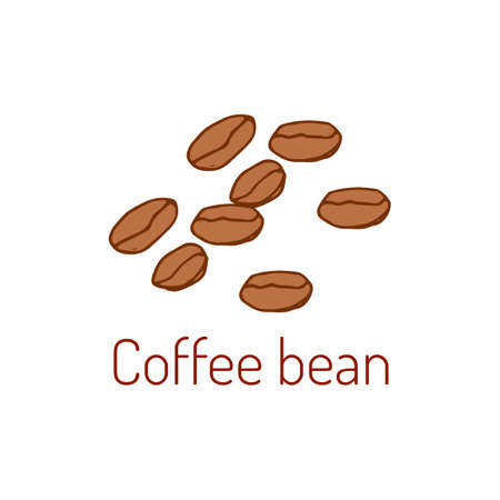 Coffee beans. Hand drawn illustration.のイラスト素材