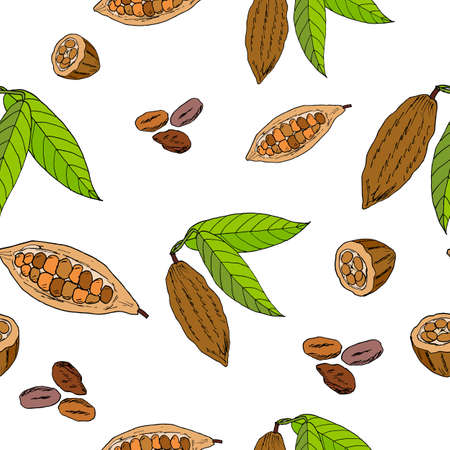 Cocoa bean and leaf, seamless pattern.のイラスト素材