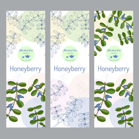 Herbal tea collection. Honeyberry banner set. Hand drawn vector illustrationのイラスト素材