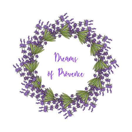 Wreath of lavender, hand drawn vector illustrationのイラスト素材
