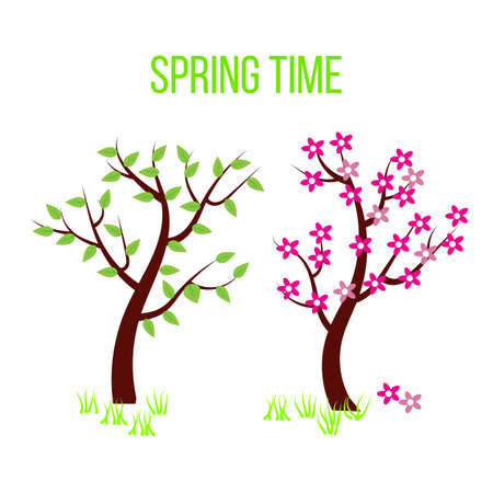 Spring time tree composition with flowers and leaves. Vector illustrationのイラスト素材