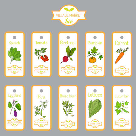 Set of vector labels with hand drawn vegetablesのイラスト素材