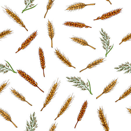Cereals seamless pattern. Barley, rye, oats, rice and wheat Vector illustrationのイラスト素材
