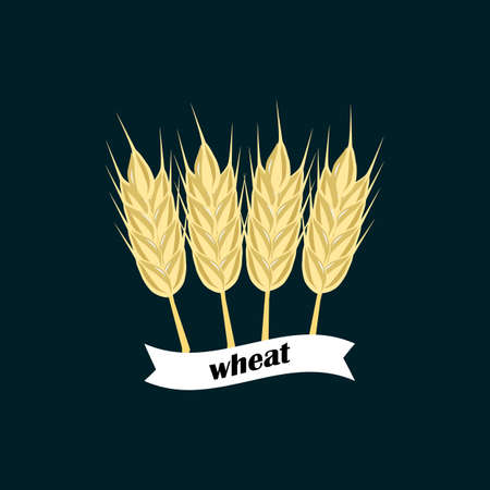 Ears of wheat iconon dark background. Vector illustrationのイラスト素材