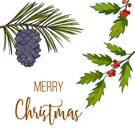 Holly, pine and mistletoe. Christmas and New Year greeting cardのイラスト素材