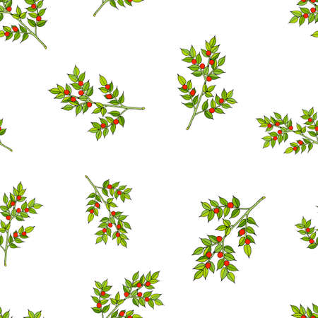 Seamless pattern with Christmas Berryの写真素材