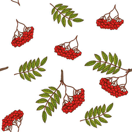 Seamless pattern with rowan branchesのイラスト素材