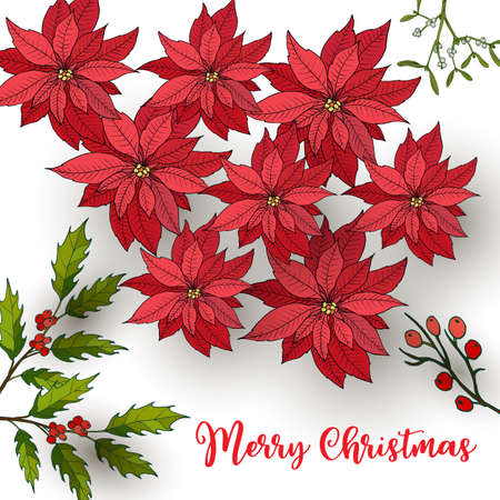 Christmas and New Year greeting card with floral designs.のイラスト素材