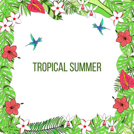 Summer time tropic backgroundのイラスト素材