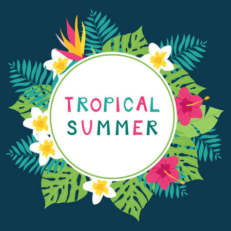 Summer time tropic backgroundのイラスト素材