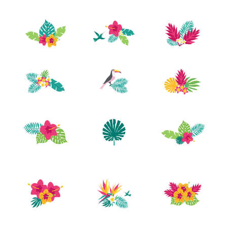 Floral paradise hand drawn tropical bouquetsのイラスト素材