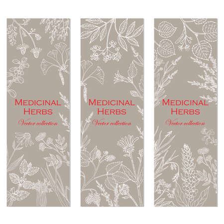 Banners with hand drawn medicinal herbs and plants. Vector illustrationのイラスト素材