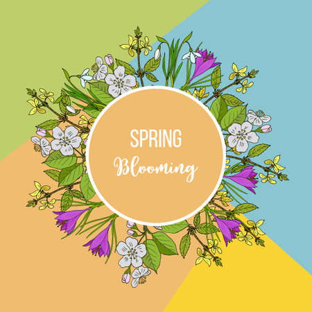 Spring blossom card with apple branch, crocus and forsythia, vector illustrationのイラスト素材