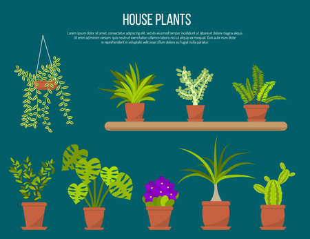 Collection of indoor house plants and flowers in pots. Flat vector illustrationのイラスト素材