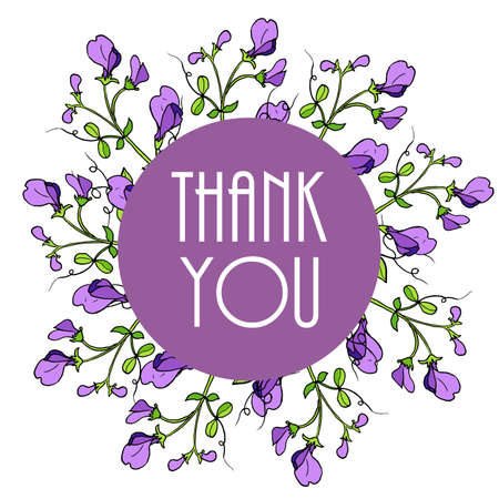 Thank you cards with beautiful sweet pea flowers. Vector illustrationのイラスト素材
