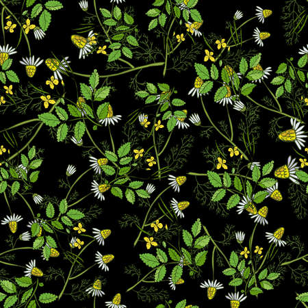 Seamless pattern with hand drawn medicinal plants. Vector herbal backgroundのイラスト素材