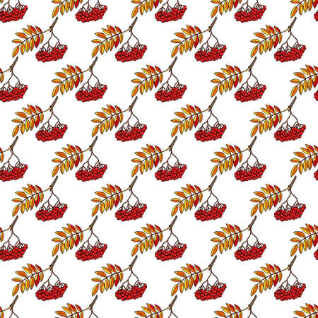 Autumn seamless pattern with hand drawn rowanのイラスト素材