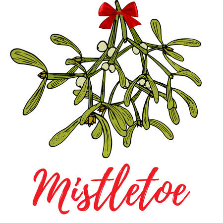 Hand drawn mistletoe sprigs with berries and red bowのイラスト素材