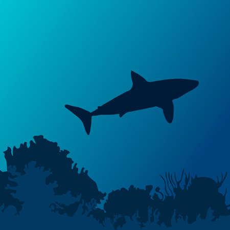 Ocean underwater world with shark silhouette. Vector illustrationのイラスト素材
