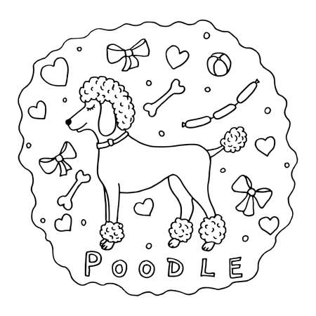 Cute poodle dog dreamsのイラスト素材