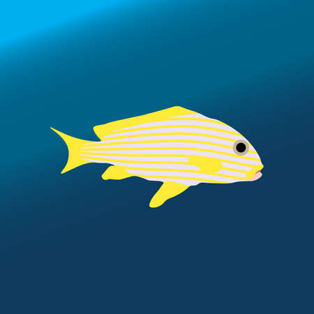 Tropical color sea fishのイラスト素材