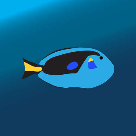 Tropical color sea fish