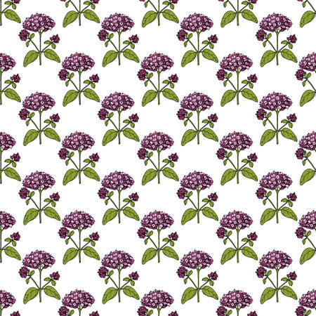 Seamless pattern with oregano flowers and leavesのイラスト素材