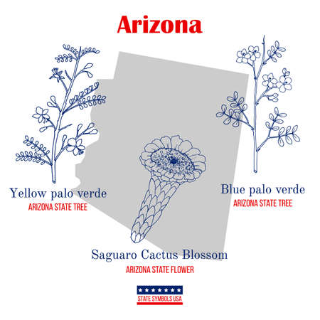 Arizona. Set of USA official state symbolsのイラスト素材