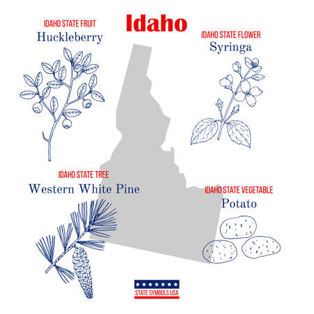 Idaho. Set of USA official state symbolsのイラスト素材