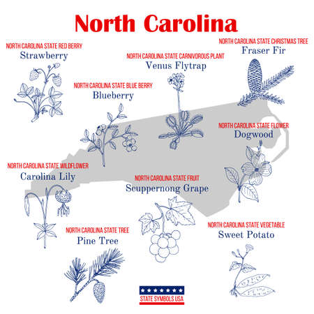 North Carolina. Set of USA official state symbolsのイラスト素材