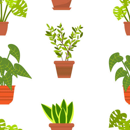 Seamless pattern with house plantsのイラスト素材